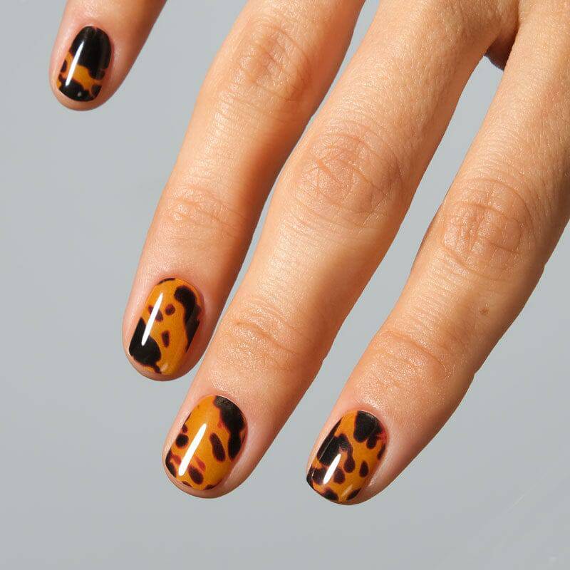 Gel Nail Strip Bundle ★ Animal Print 5 - MoYou London