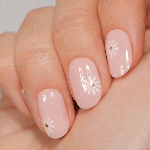 manicure with daisies made from gel polish stickers for strong and healthy nails