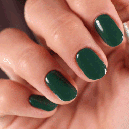 Gel Nail Strip ★ Pine Tree - MoYou London
