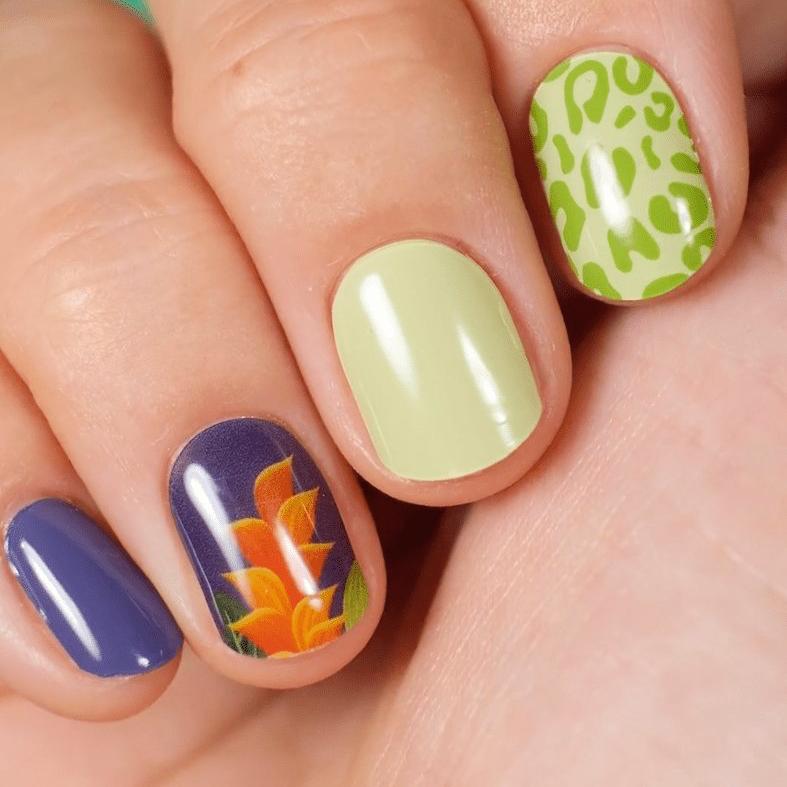 Gel Nail Strip ★ Toucan Do It - MoYou London