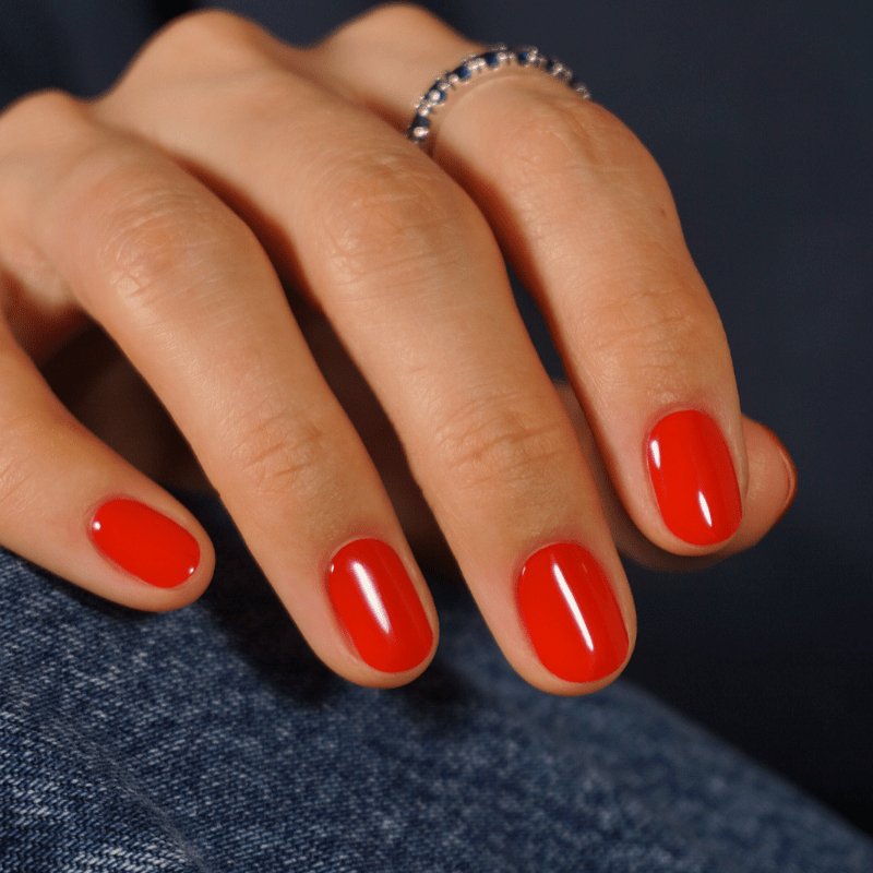 Gel Nail Starter Kit ★ Basics - MoYou London