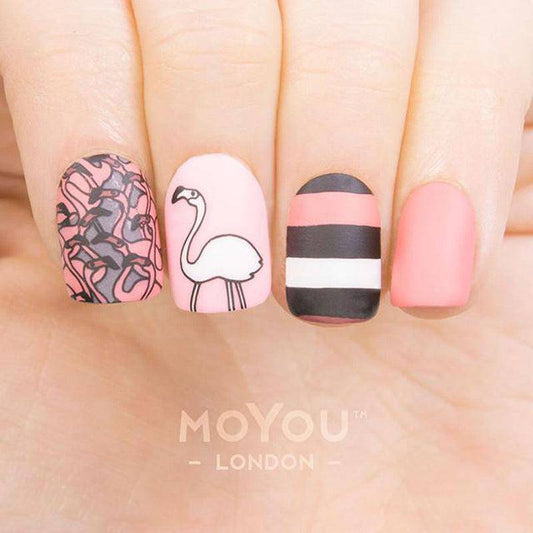 Animal 01 ✦ Nail Stamping Plate - MoYou London