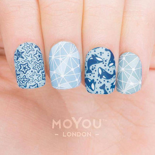 Animal 05 ✦ Nail Stamping Plate - MoYou London