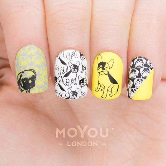 Animal 06 ✦ Nail Stamping Plate - MoYou London