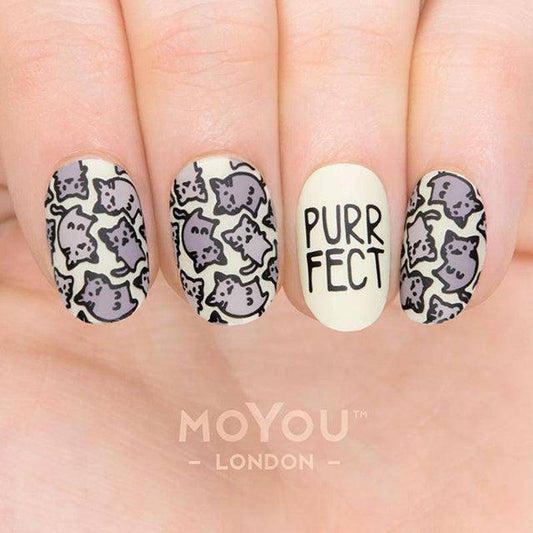 Animal 14 ✦ Nail Stamping Plate - MoYou London