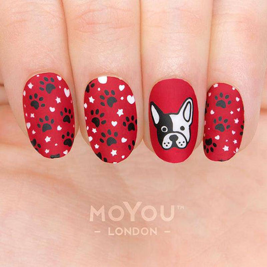 Animal 16 ✦ Nail Stamping Plate - MoYou London
