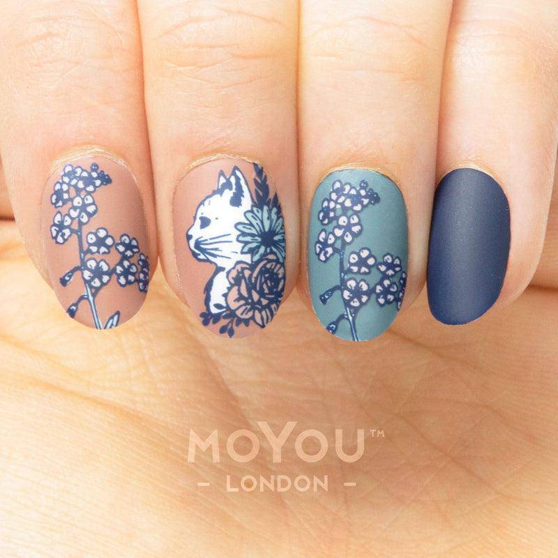 Crazy Cat Lady 13 ✦ Nail Stamping Plate - MoYou London