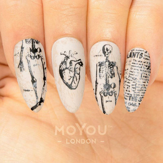 Halloween 18 ✦ Nail Stamping Plate - MoYou London