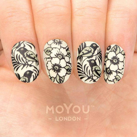 Porcelain 04 ✦ Nail Stamping Plate - MoYou London
