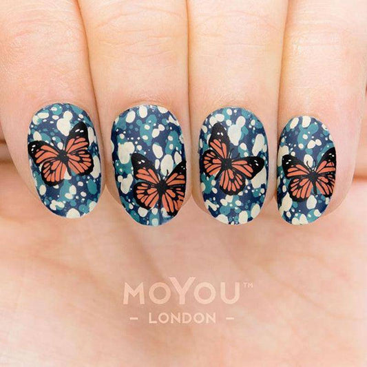 Suki 11 ✦ Nail Stamping Plate - MoYou London