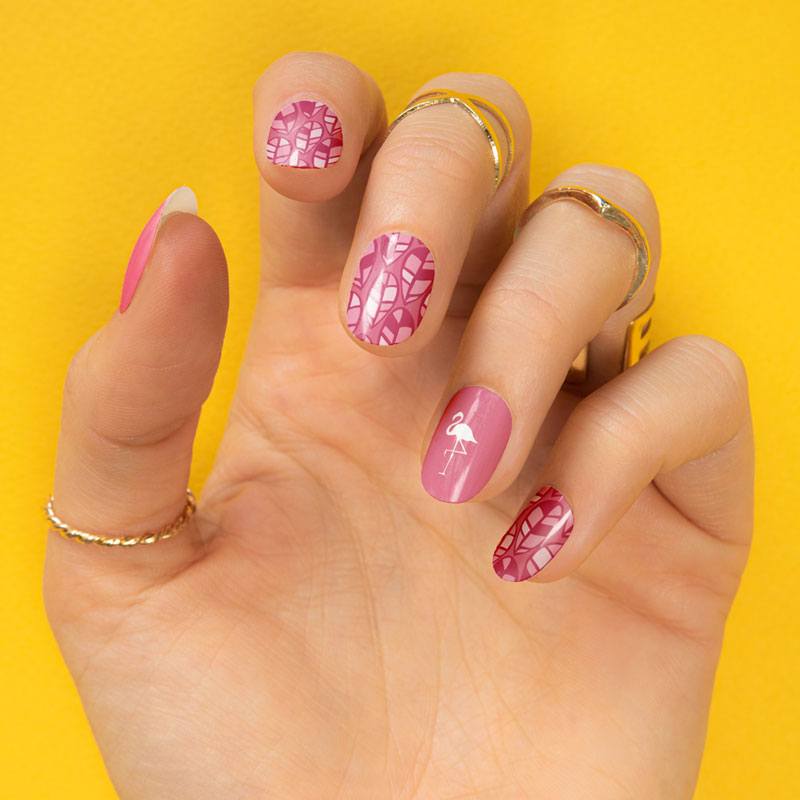 Tropical 05 ✦ Nail Stamping Plate - MoYou London