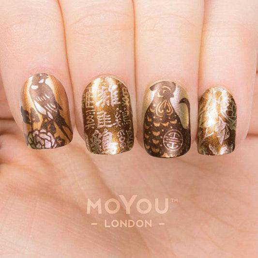 Zodiac 22 ✦ Nail Stamping Plate - MoYou London
