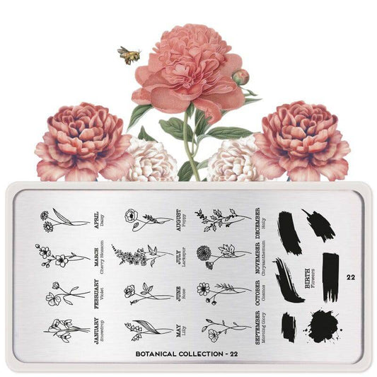 Botanical 22 ✦ Nail Stamping Plate - MoYou London
