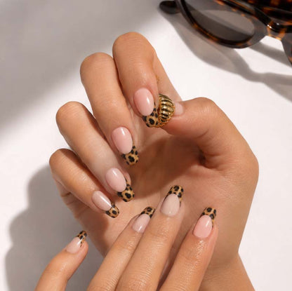 NON UV ✦  Gloss Kitty