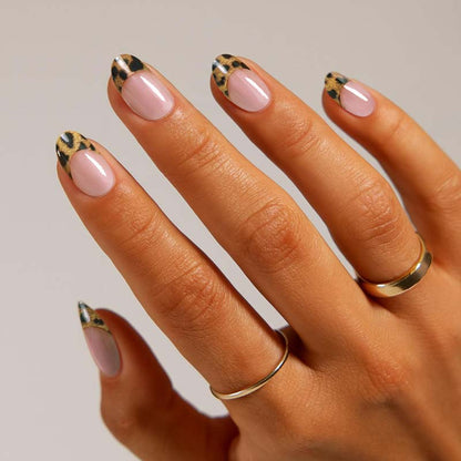 NON UV ✦  Gloss Kitty