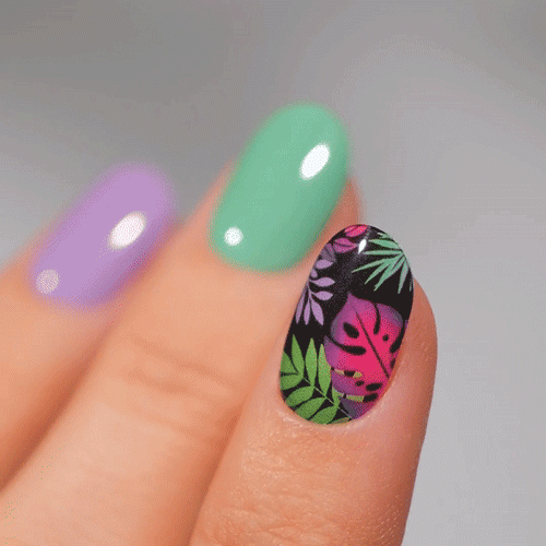 Gel Nail Strip ★ My Beloved Monstera - MoYou London