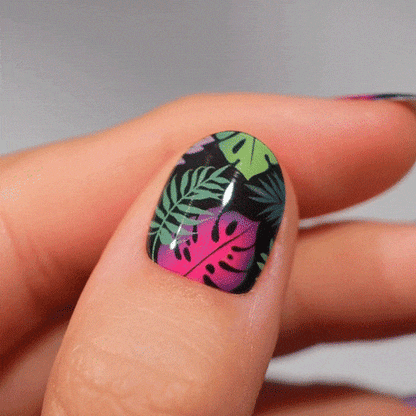 Gel Nail Strip ★ My Beloved Monstera - MoYou London
