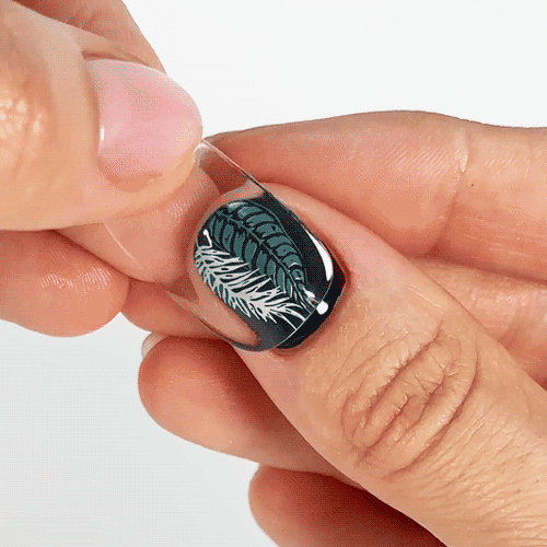 NON UV ★ Bare Whisper - MoYou London