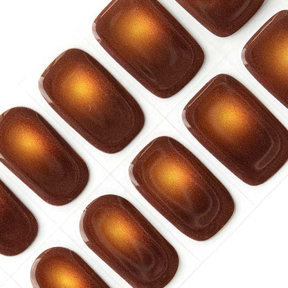 Chestnut Chrome ⭐️ ⭐️ ⭐️