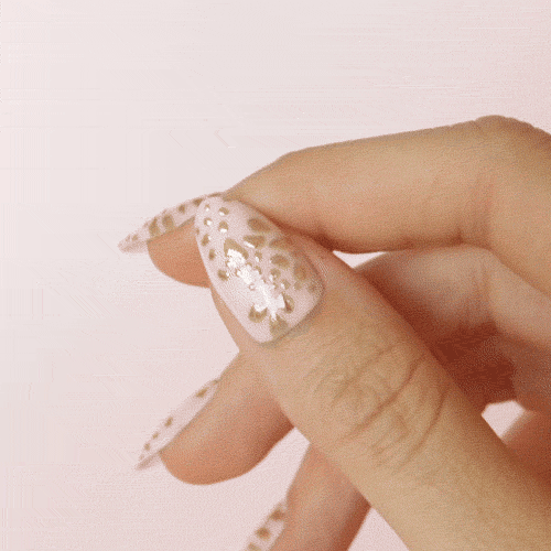 No Pain No Champaign • Short Almond