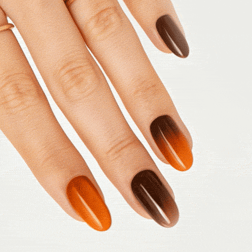 Cinnamon Spice • Short Oval - MoYou London