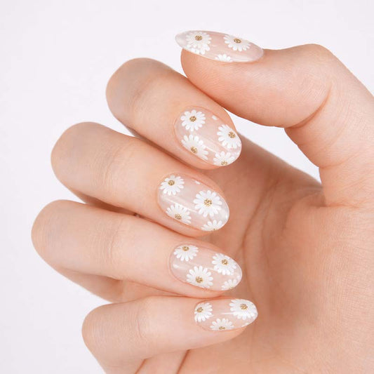 Oopsy Daisy • Short Oval