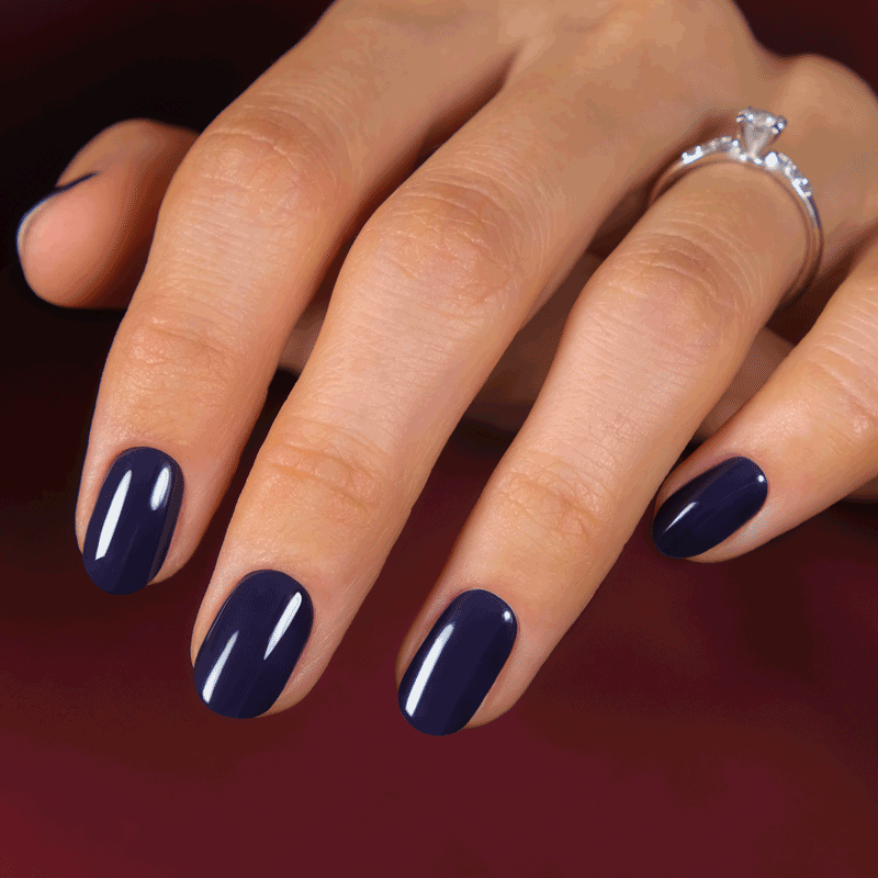 Gel Nail Strip Bundle ★ Classic Plate Bundles MoYou London 