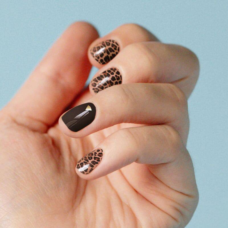 Size Matters 06 ✦ Nail Stamping Plate - MoYou London