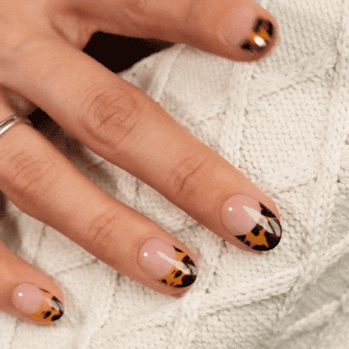 French manicure leopard tips using gel polish stickers for healthy and strong nails 