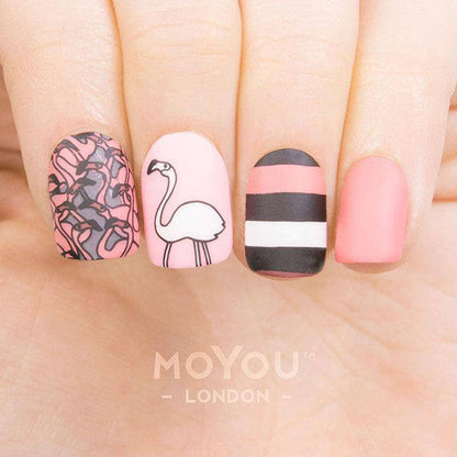 Animal 03 ✦ Nail Stamping Plate - MoYou London