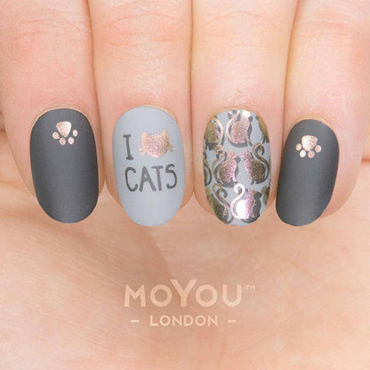 Animal 14 ✦ Nail Stamping Plate - MoYou London