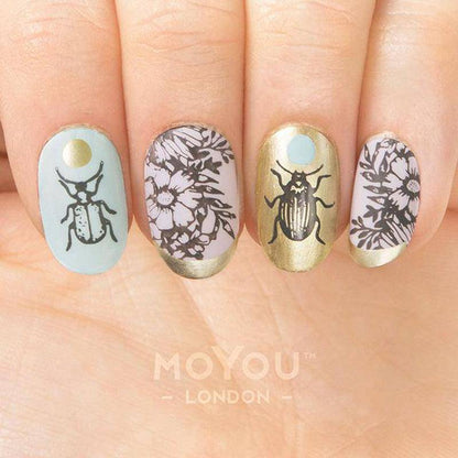 Botanical 04 ✦ Nail Stamping Plate - MoYou London