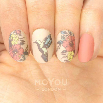 Botanical 05 ✦ Nail Stamping Plate - MoYou London