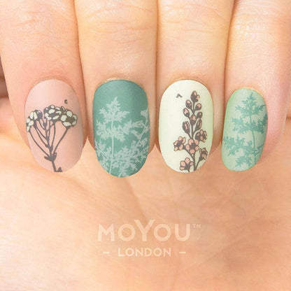 Botanical 06 ✦ Nail Stamping Plate - MoYou London