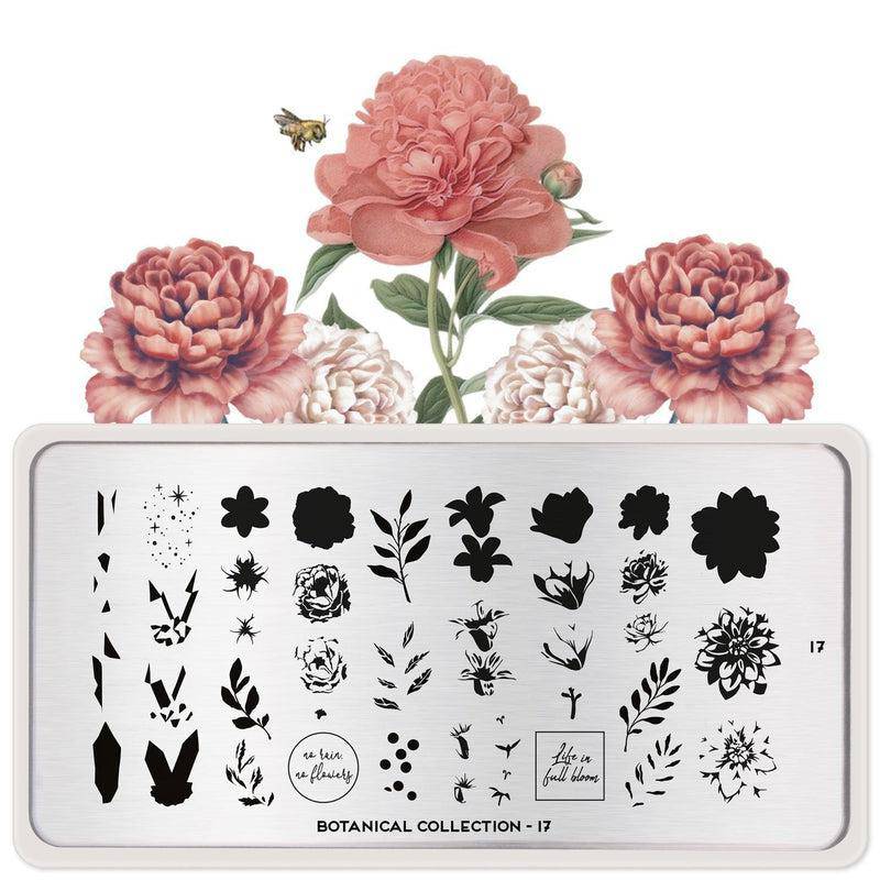 Botanical 17 ✦ Nail Stamping Plate