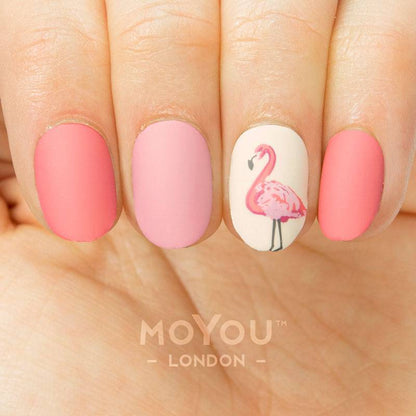 Paradise 10 ✦ Nail Stamping Plate - MoYou London