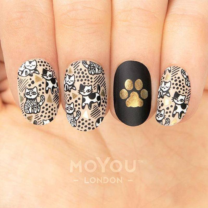 Crazy Cat Lady 07 ✦ Nail Stamping Plate - MoYou London