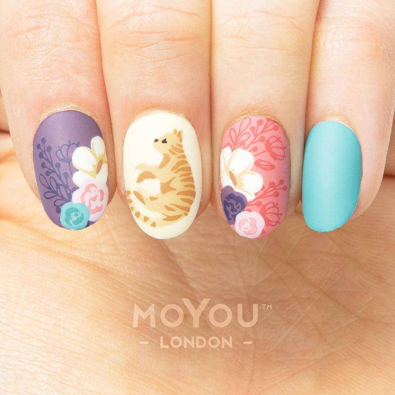 Crazy Cat Lady 12 ✦ Nail Stamping Plate - MoYou London