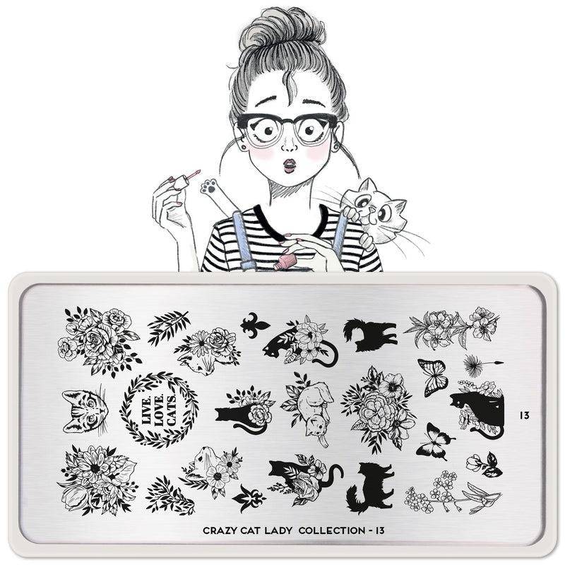 Crazy Cat Lady 13