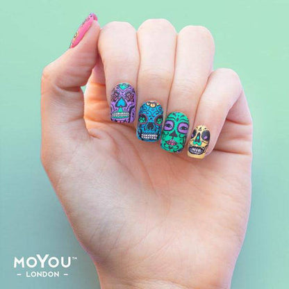 Explorer 29 ✦ Nail Stamping Plate - MoYou London