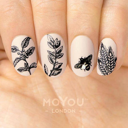 Fall in Love 01 ✦ Nail Stamping Plate - MoYou London