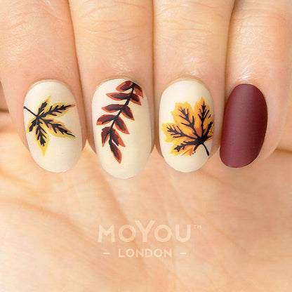Fall in Love 02 ✦ Nail Stamping Plate - MoYou London