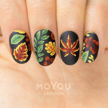 Fall in Love 02 ✦ Nail Stamping Plate - MoYou London