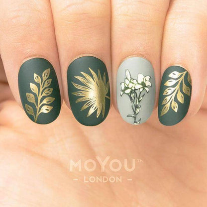 Paradise 01 ✦ Nail Stamping Plate - MoYou London