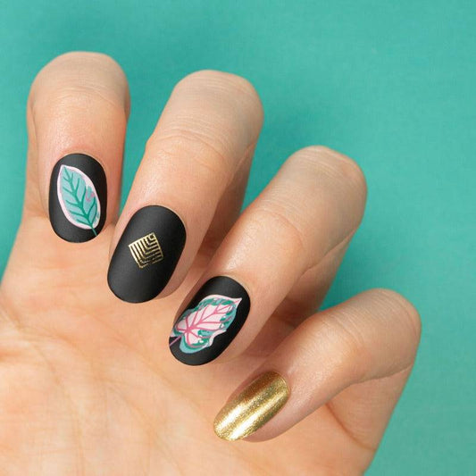 Paradise 09 ✦ Nail Stamping Plate - MoYou London