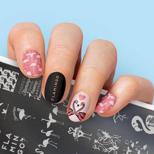 Tropical 15 ✦ Nail Stamping Plate - MoYou London