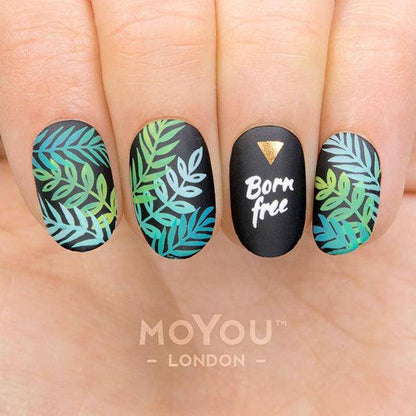 Tropical 36 ✦ Nail Stamping Plate - MoYou London