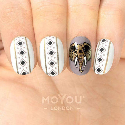 Tropical 37 ✦ Nail Stamping Plate - MoYou London