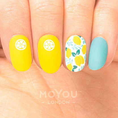 Tutti Frutti 02 ✦ Nail Stamping Plate - MoYou London