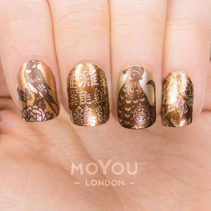 Zodiac 22 ✦ Nail Stamping Plate - MoYou London